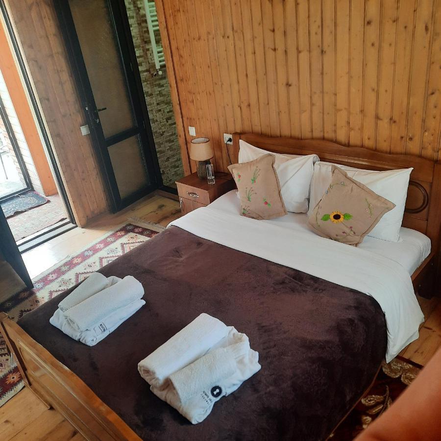 Bana Hotel Kazbegi Bagian luar foto