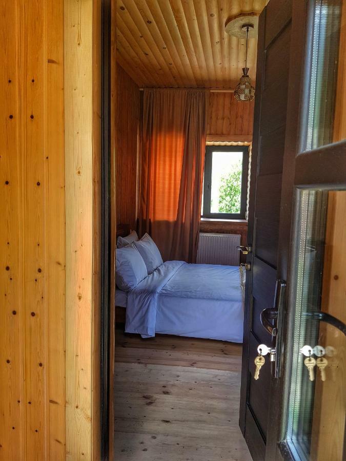 Bana Hotel Kazbegi Bagian luar foto
